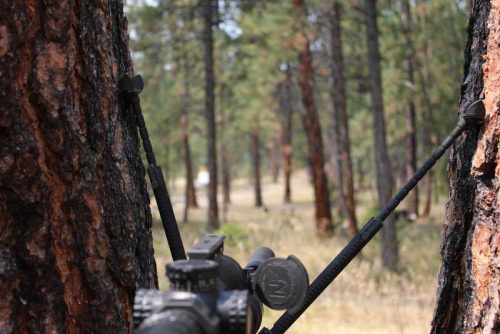 Revolution Bipod Panning Model on a rifle nested in a crook of a tree.